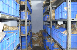 Anantvijay Enterprise